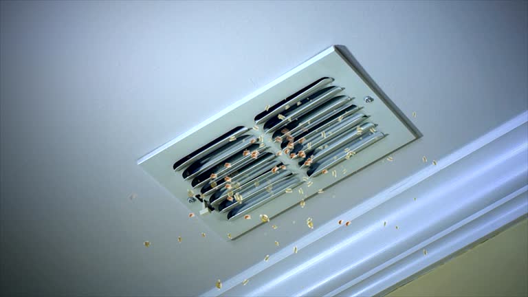 Best General Air Duct Cleaning  in Eleanor, WV