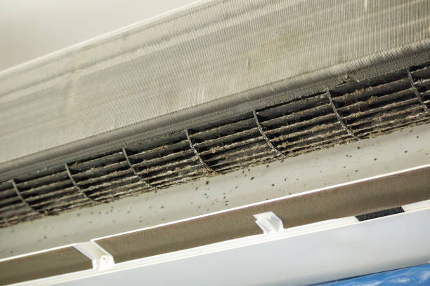 Best Air Duct Cleaning Near Me  in Eleanor, WV