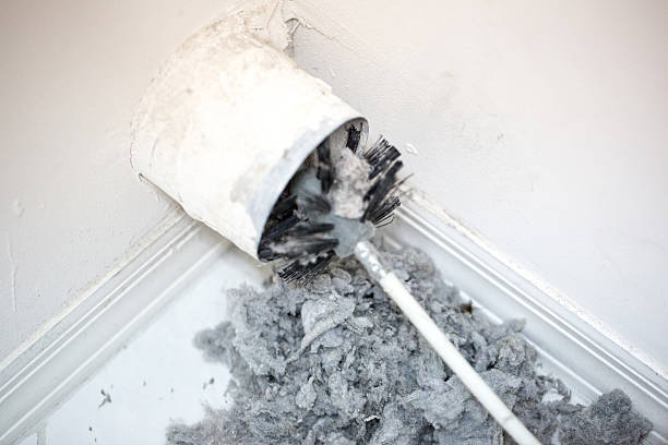 Best Professional Duct Cleaning Services  in Eleanor, WV